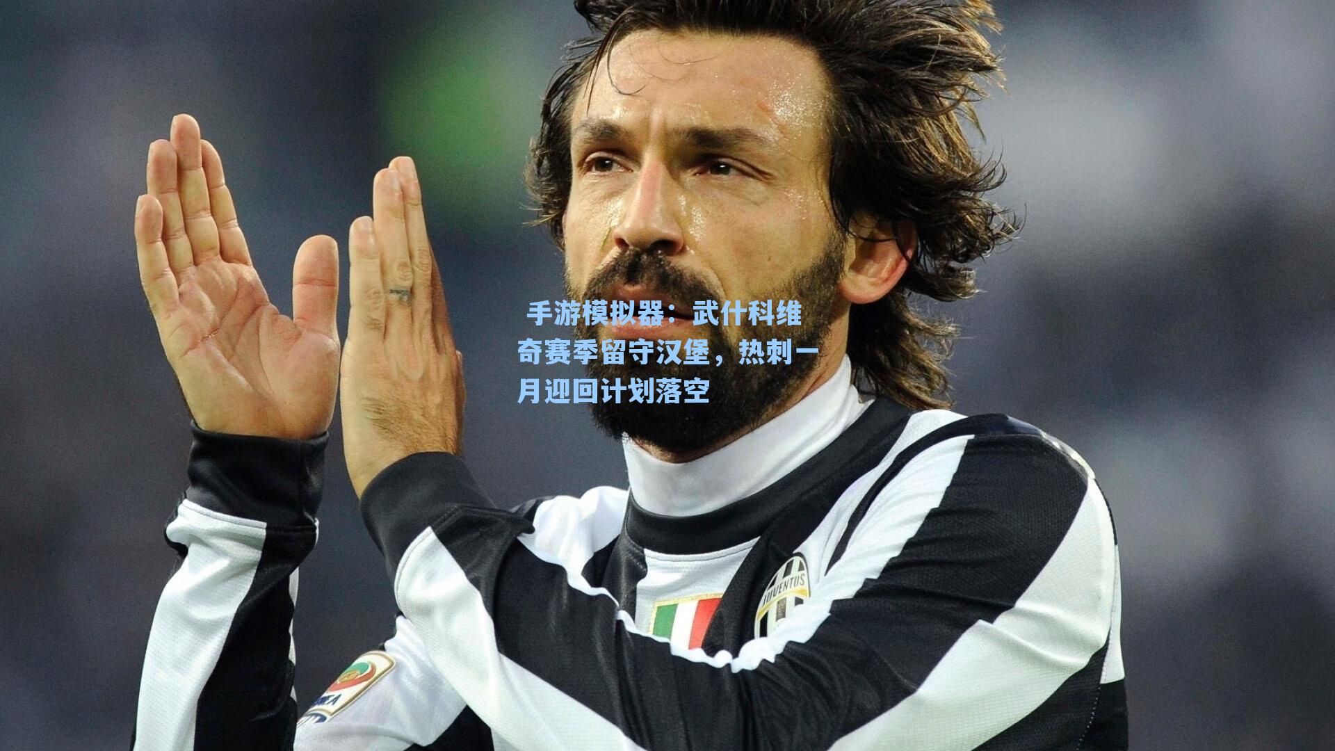 武什科维奇赛季留守汉堡，热刺一月迎回计划落空