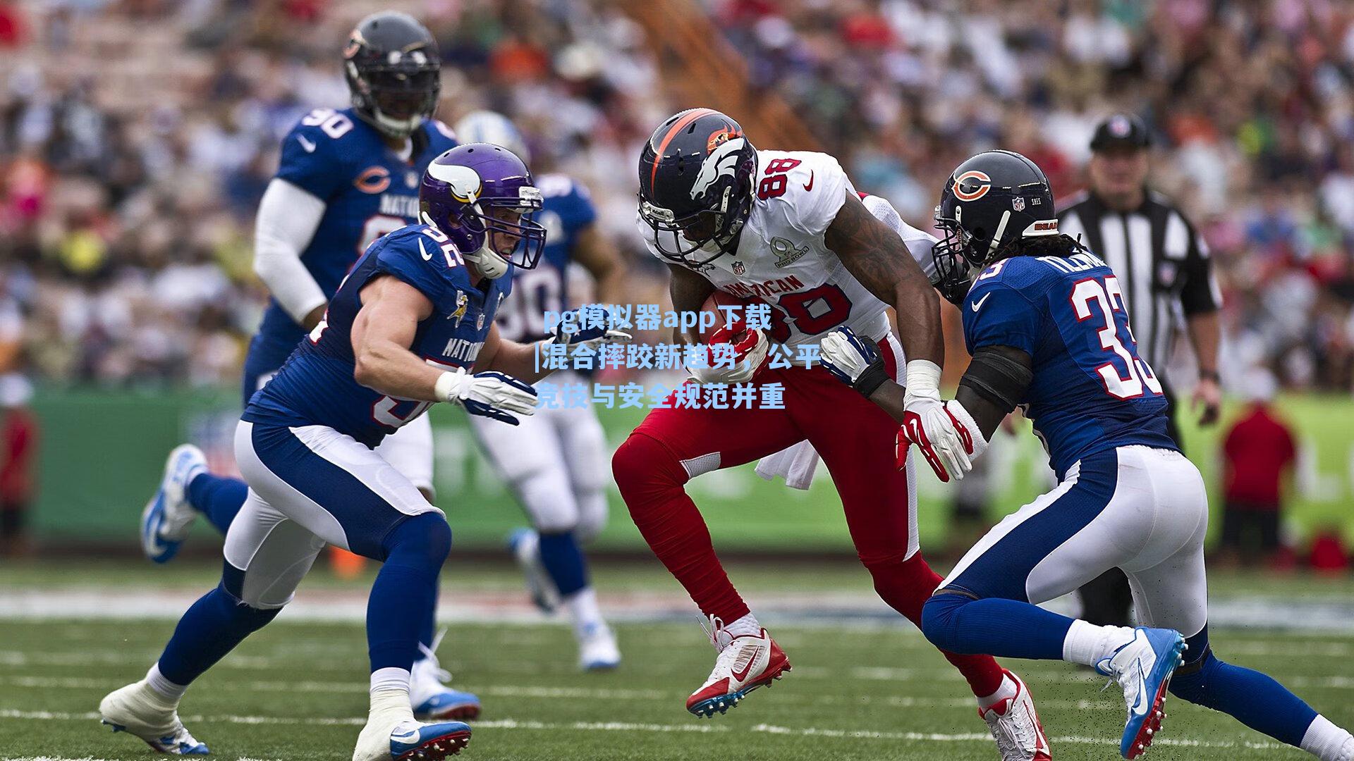 混合摔跤新趋势，公平竞技与安全规范并重